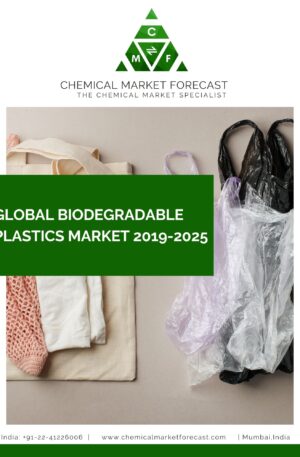 Global Biodegradable Market 2019-2025